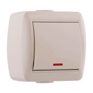 bs-8915-vyiklyuchatel-1-op-nata-s-ind-1547550424-0