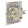 bs-14248-knopka-zvonka-taymyir-6a-bel-tdm-1548566624-2