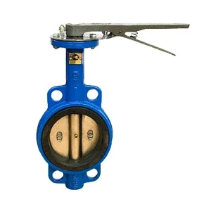 bs-769-zatvor-80-povorot-diskruchnoy-ci-1549888476-0